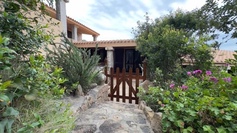 Property building, Garden, Garden view