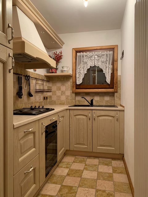 Kitchen or kitchenette, dishwasher, stove