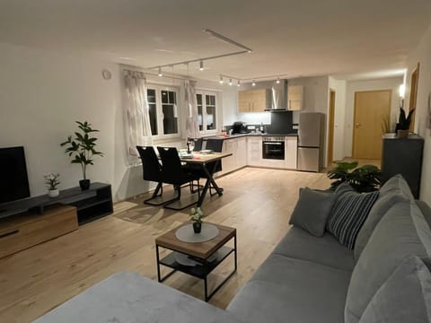 Kitchen or kitchenette, Living room, Seating area, Dining area, dishwasher, stove
