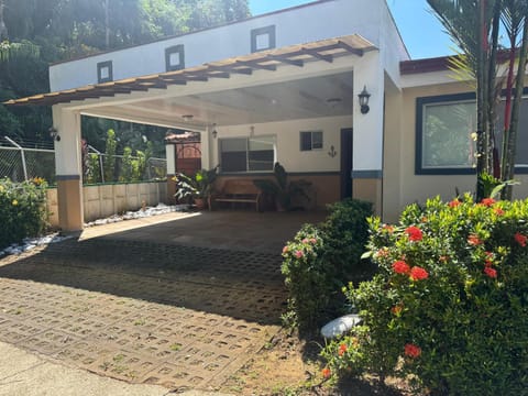 Property building, Garden, Garden view