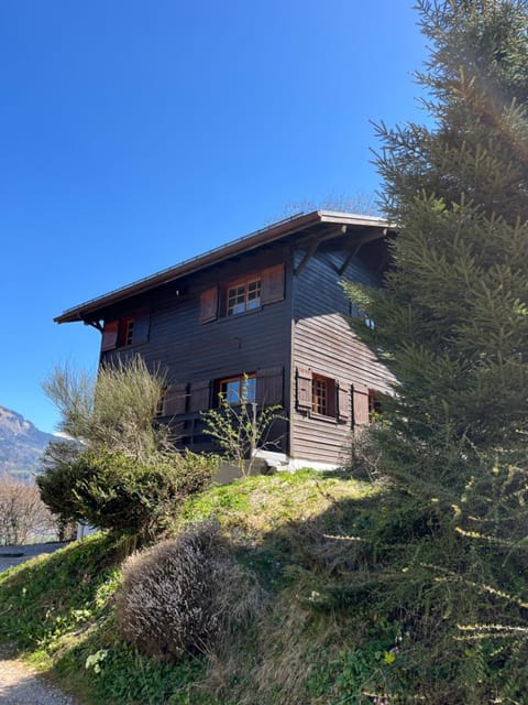 Chalet, vue sur la vallée, Domaine skiable Grand Massif Chalet in Morillon