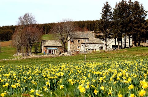 Property building, Spring, Day, Natural landscape, Garden, Garden, Garden view, Landmark view