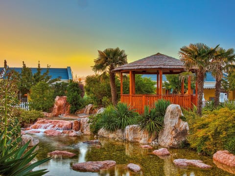 Garden, Sunset