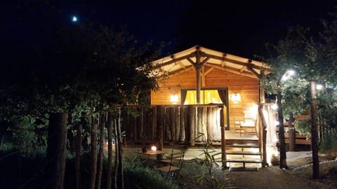 Property building, Night, Garden, Garden view