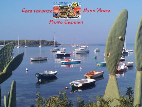 Neighbourhood, View (from property/room)