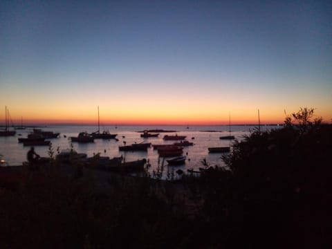 Night, Natural landscape