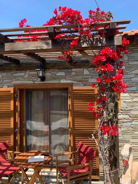 Patio, Balcony/Terrace