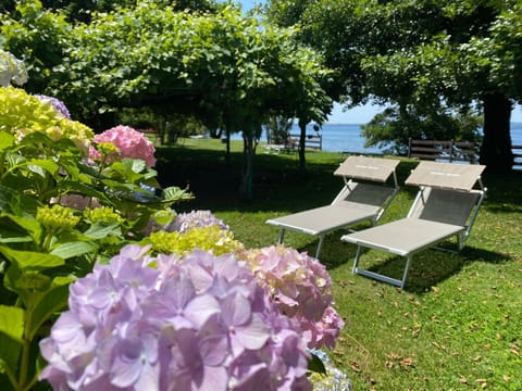 Agriturismo Arlena Farm Stay in Umbria