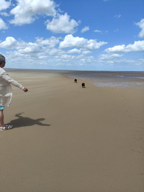 Quiet 6 berth pet friendly chalet near beach Apartment in Mablethorpe