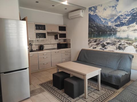 Kitchen or kitchenette, Living room, Seating area, oven, stove