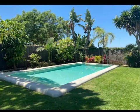 Garden, Swimming pool