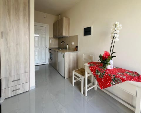 Kitchen or kitchenette, Dining area, oven