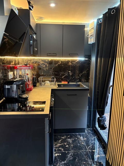 Kitchen or kitchenette, stove, toaster