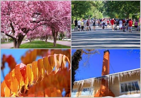 Family-Ready Downtown Classic, 4 Mins to CC House in Colorado Springs