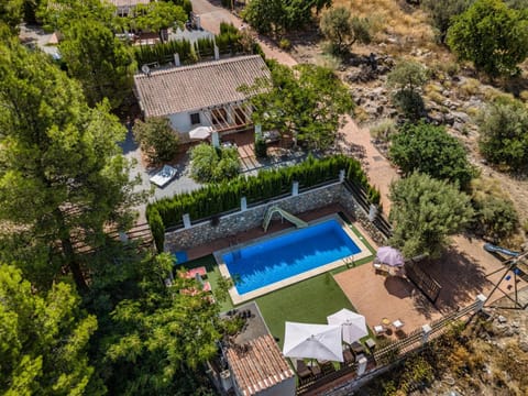 Natural landscape, Bird's eye view, Garden, Garden view, Pool view, Swimming pool, sunbed