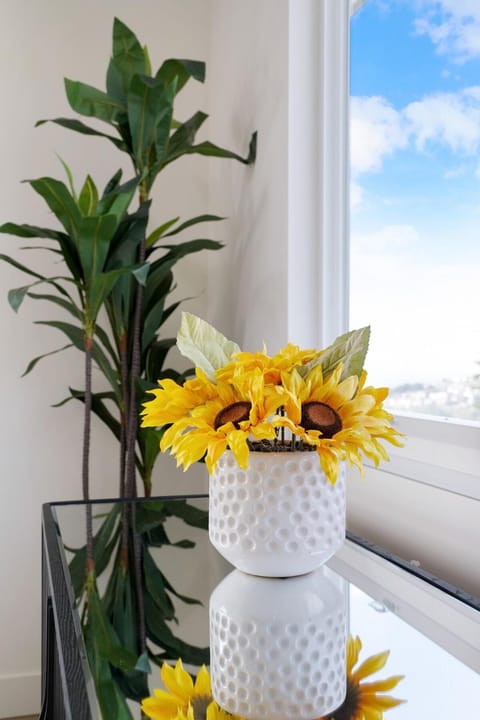 Oceanview Sunset View 3BR Luxe Home Yard Apartment in Pacifica