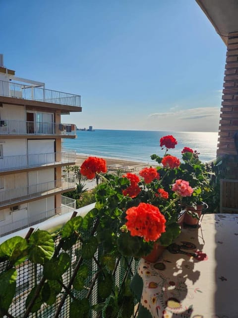 View (from property/room), Balcony/Terrace, Sea view