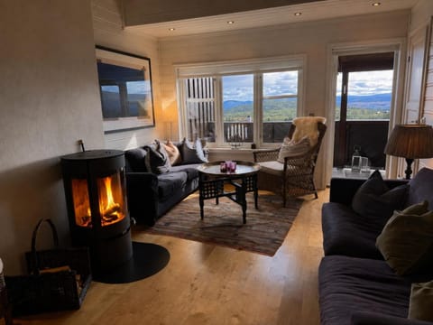 Living room, fireplace