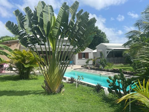 Natural landscape, Garden view, Swimming pool