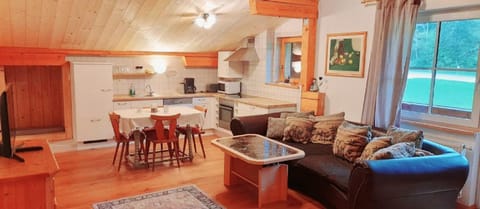 Kitchen or kitchenette, Living room, Seating area, Dining area, stove