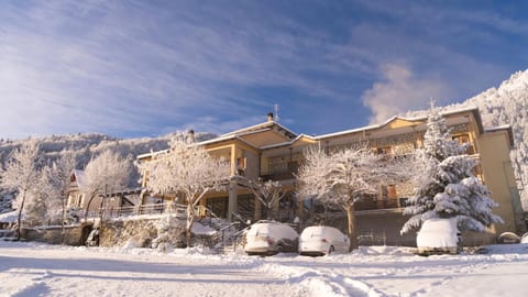 Property building, Winter