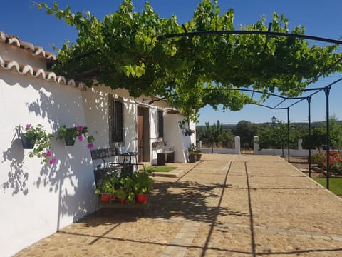 Spring, Garden, Balcony/Terrace, Garden view, Street view