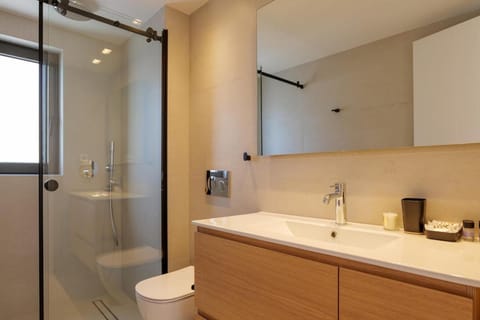 Luxurious Athens Residence Apartment in South Athens