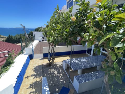 Patio, Garden, Garden view