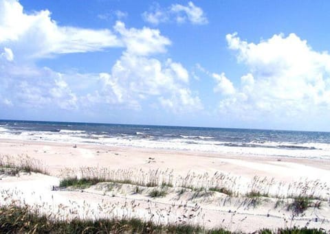 The Chautauqua Gorgeous Direct OCEANFRONT Home 3 Decks Pool Table - Amazing Views House in Saint Augustine Beach