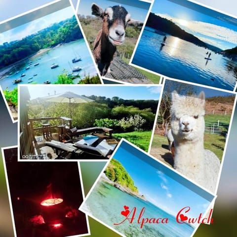 Alpaca Cwtch - Pembrokeshire, West Wales Nature lodge in Wales