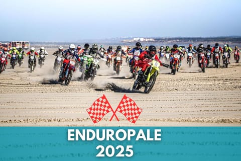 Property building, Activities