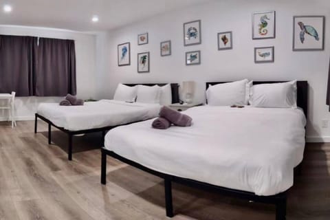 Charming DBL W pool and parking 15 min to FLL and Beach Apartment in Hollywood