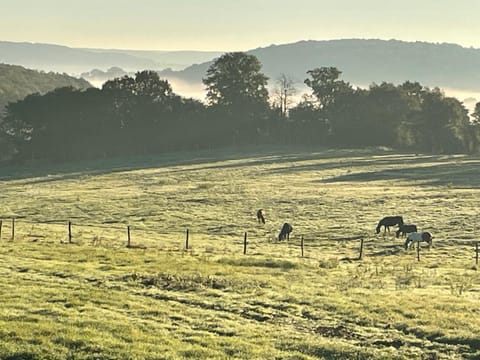 Natural landscape