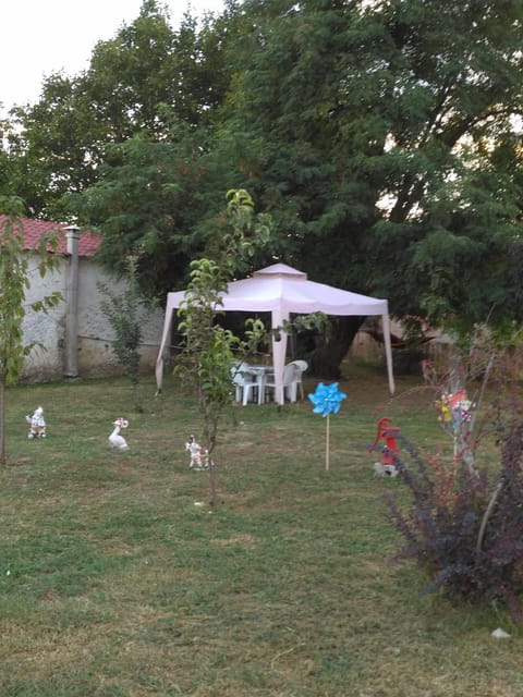 Natural landscape, Garden, Pets, Garden view