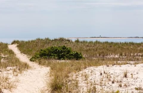 Water's edge renovated Condo with Marina Views House in North Truro