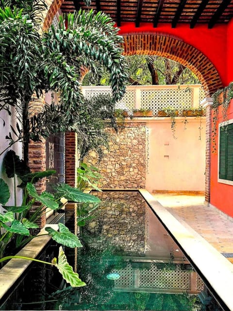 Day, Garden view