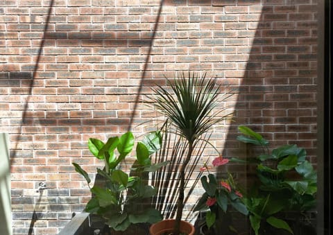 Garden, Garden view