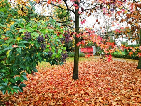 B&B Acquamarina Bed and Breakfast in Marina di Massa