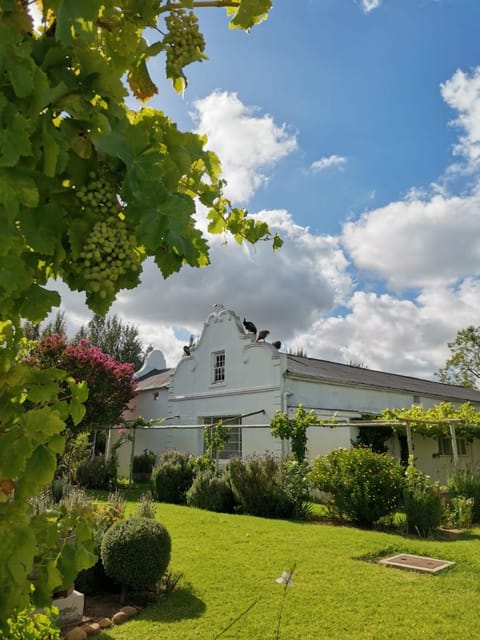 Property building, Garden, Garden view