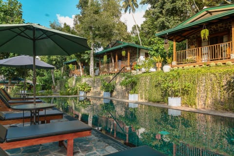 Property building, Natural landscape, Garden, View (from property/room), Garden view, Pool view, Swimming pool