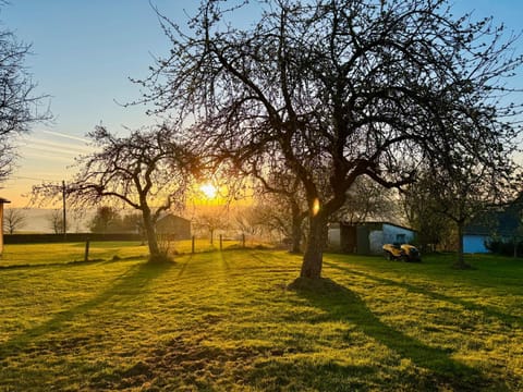 Lot54 Holiday Homes House in Vulkaneifel