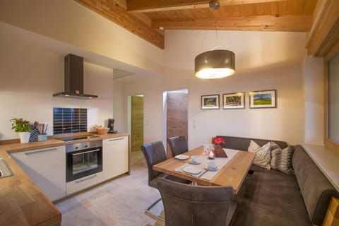 Kitchen or kitchenette, Dining area, oven, stove