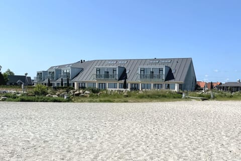 Beach, Area and facilities