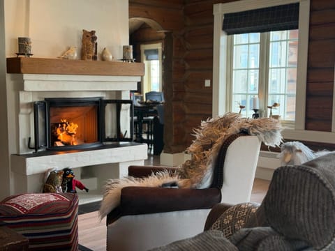 Living room, fireplace