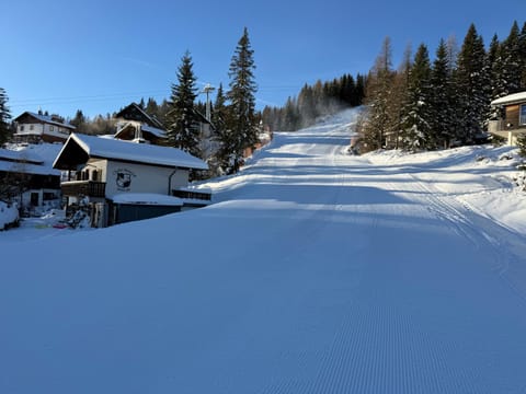 Chalet Heinrich Ski in & Ski out - Apartment Bergblick Apartment in Friuli-Venezia Giulia