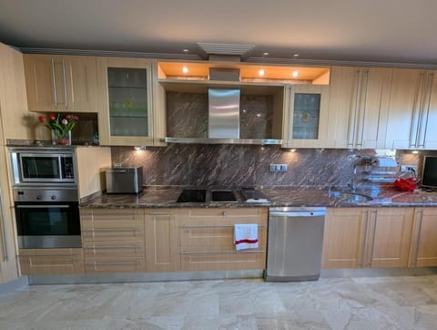 Kitchen or kitchenette, dishwasher, oven, stove, toaster