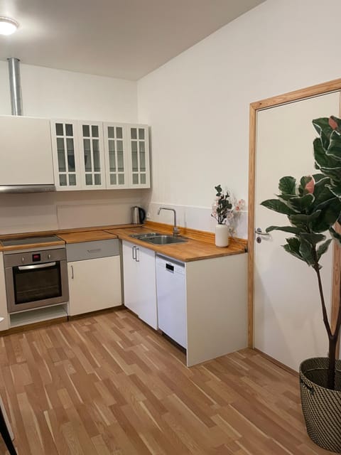 Kitchen or kitchenette, dishwasher, oven, stove