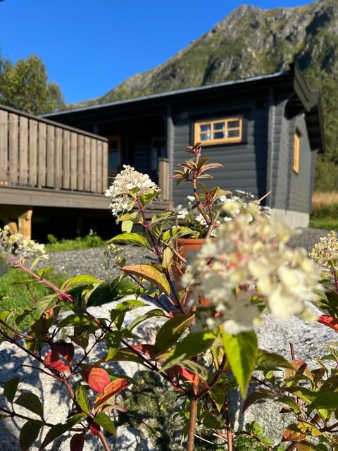 Nordlands hytta Nature lodge in Nordland, Norway