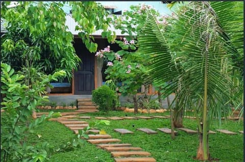 Day, Natural landscape, Garden