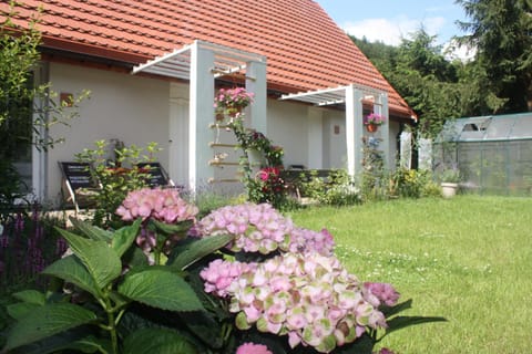 Property building, Garden, Garden view, sunbed